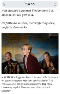 Billettsalg på nett på kultar til Ulvilla Teater og Hans Majestet Rotmo. Det skjer i Verdal